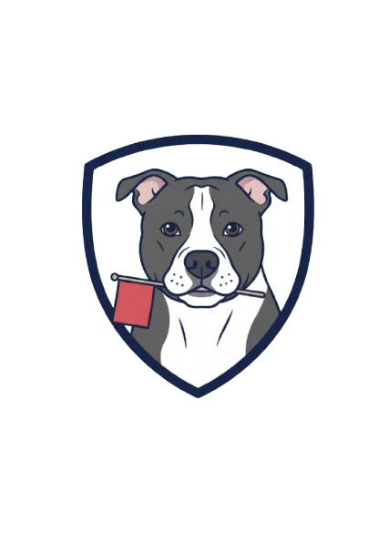 Responsible AI Icon